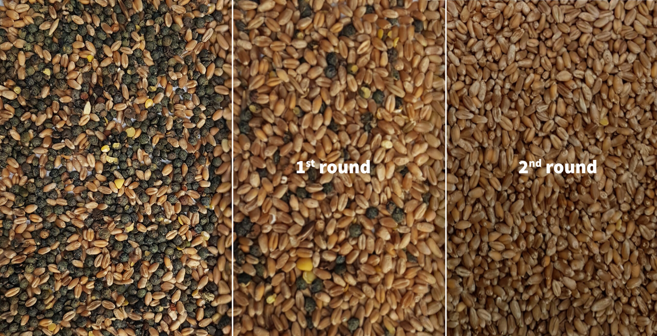 Grain cleaning