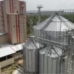 Global-grain-solution-installation-Asia-10