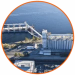 Vignette agro-industry