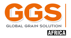 Logo GGS Africa